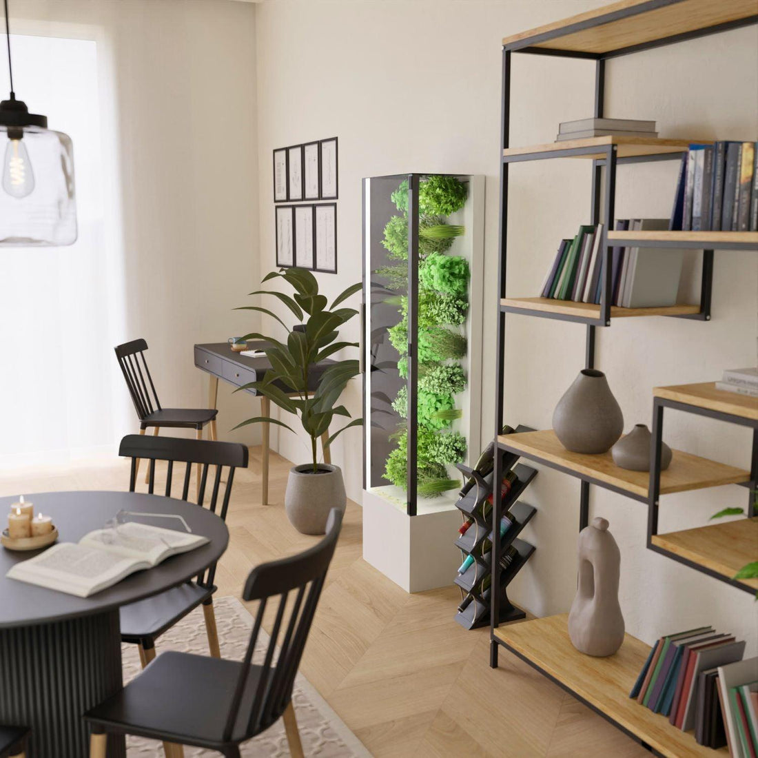 Enkla steg för att odla sallad hydroponiskt - Vext