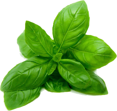 Italian Garden Mix 9-Pack