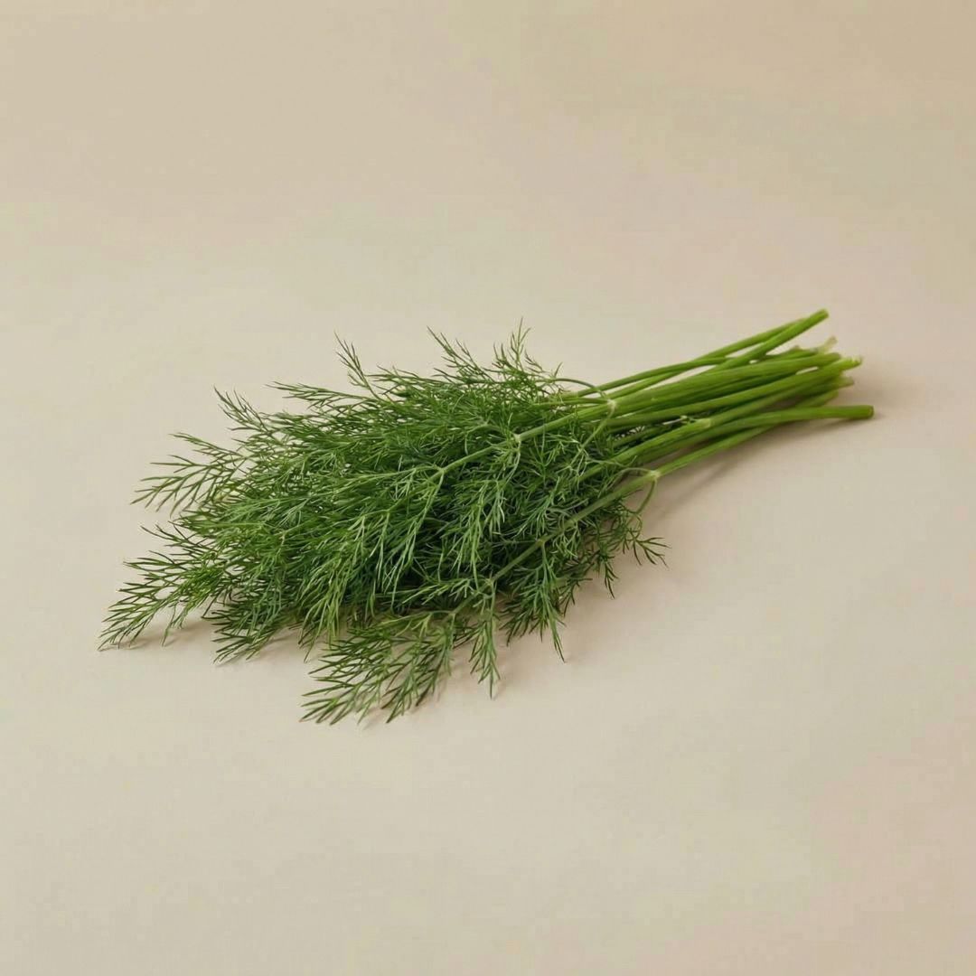 Dill