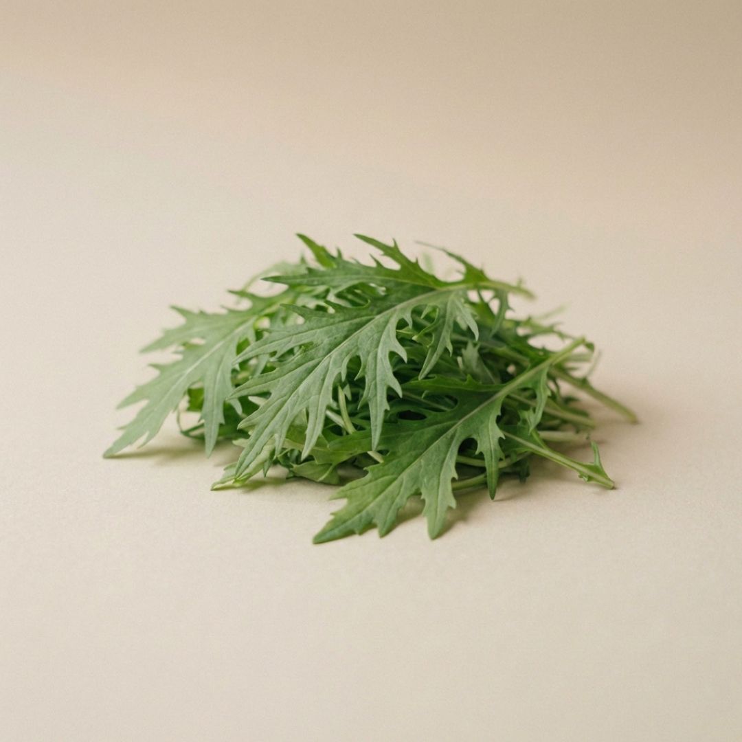 Green Mizuna