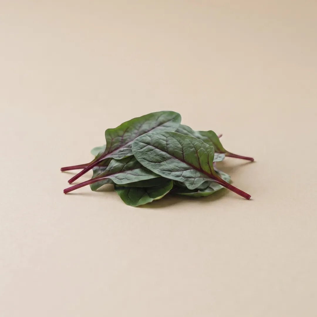 Red Tabby Spinach