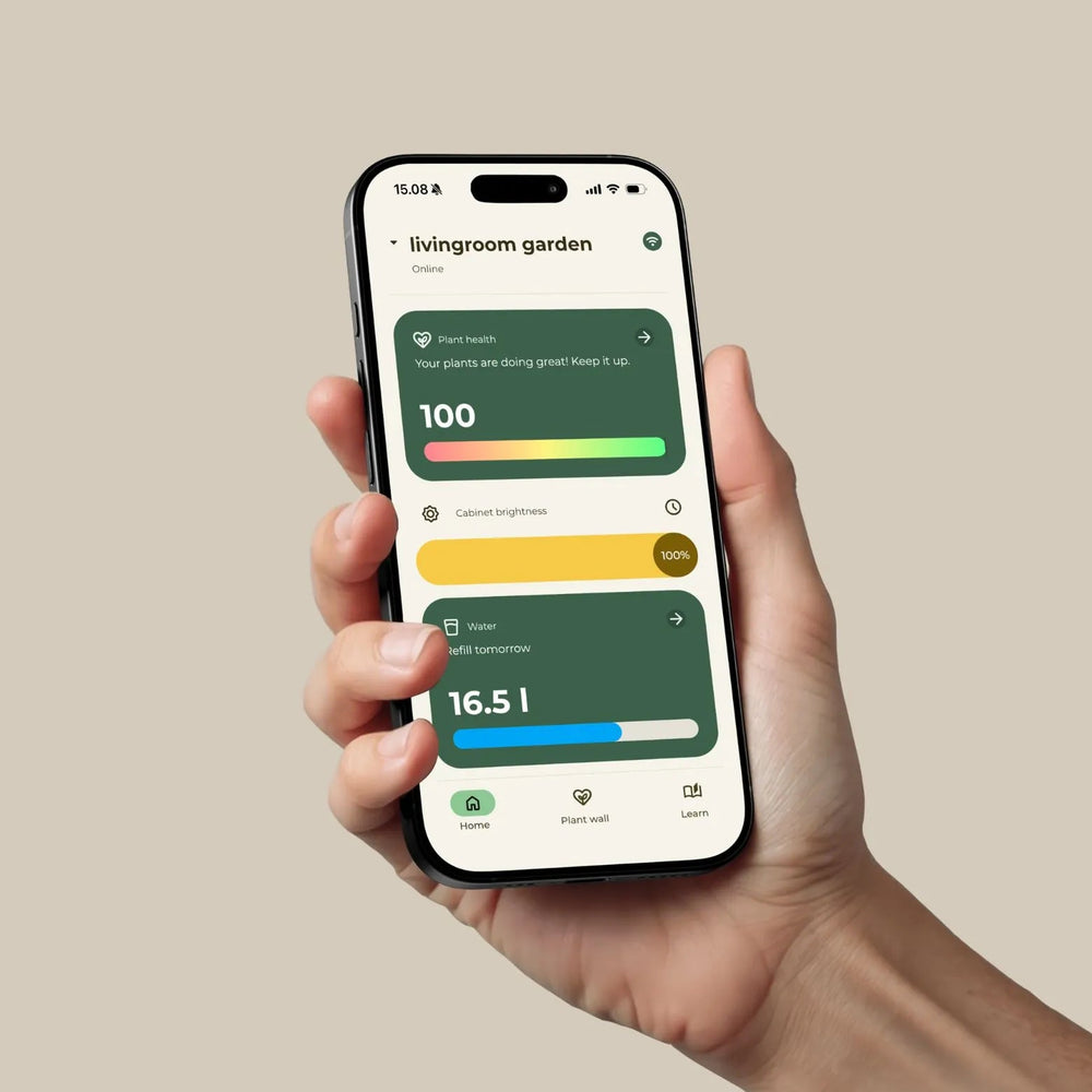 The Vext app on a phone