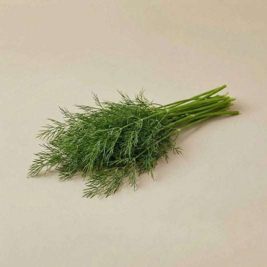 Dill