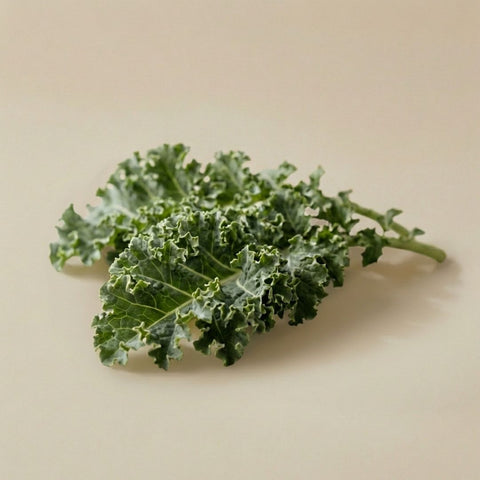Dwarf Kale