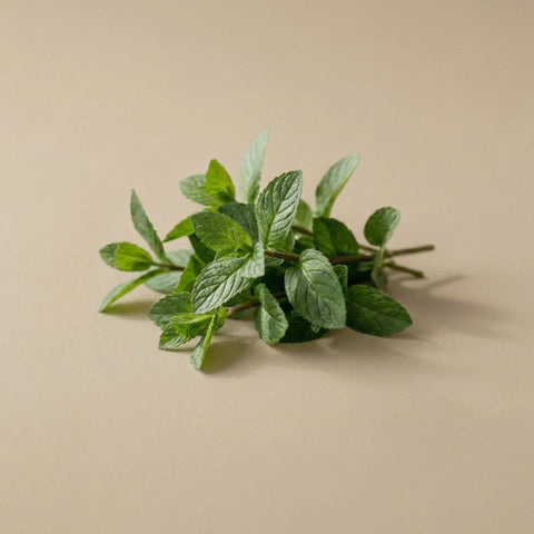 Green mint
