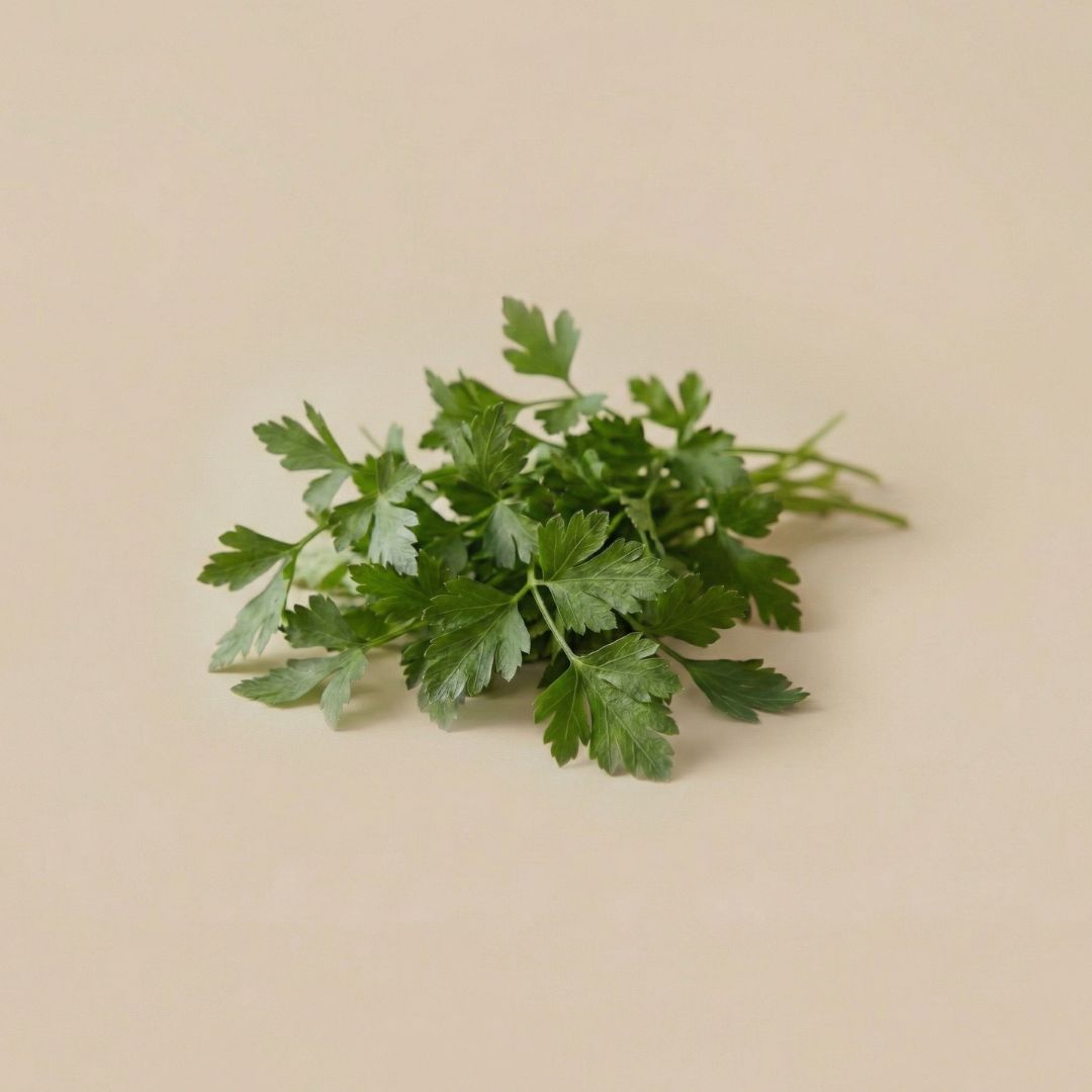 Parsley