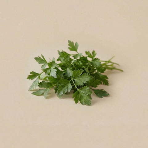 Parsley