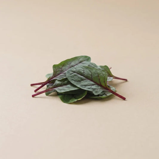 Red Tabby Spinach