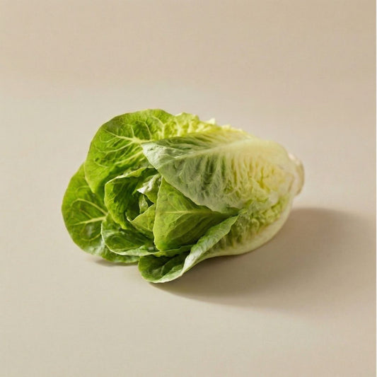 Little Gem Romaine Lettuce 9-pack