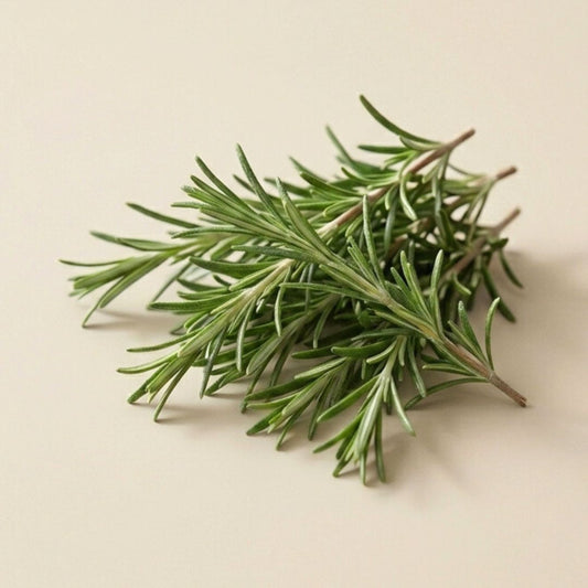 Rosemary