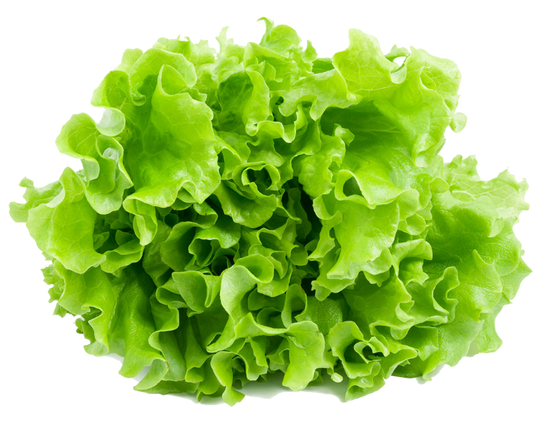 Lettuce 9-pack
