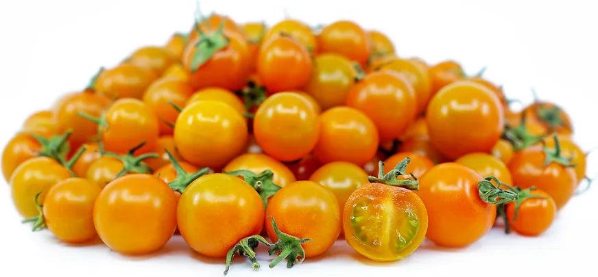 Orange Cherry Tomatoes 9-pack - Vext