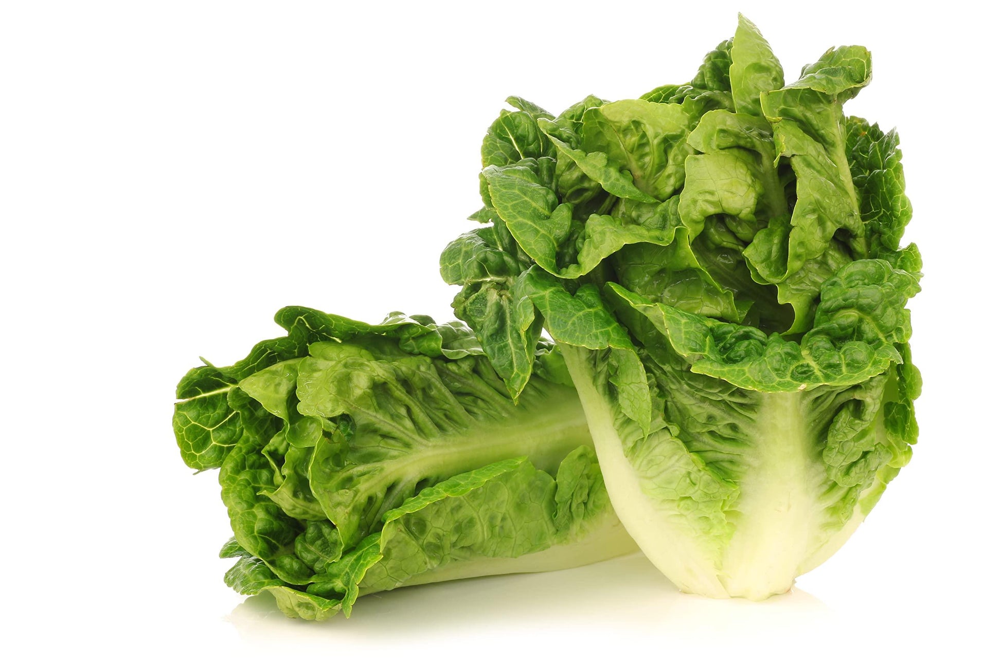 Little Gem Romaine Lettuce 9-pack - Vext