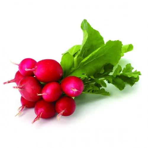 Radish 9-pack - Vext