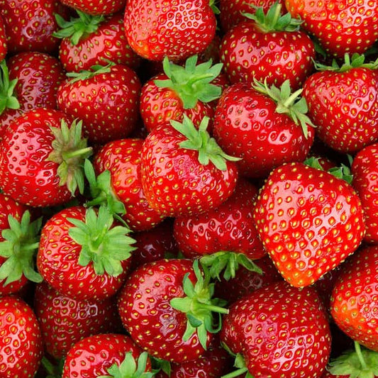 Strawberries 9-pack