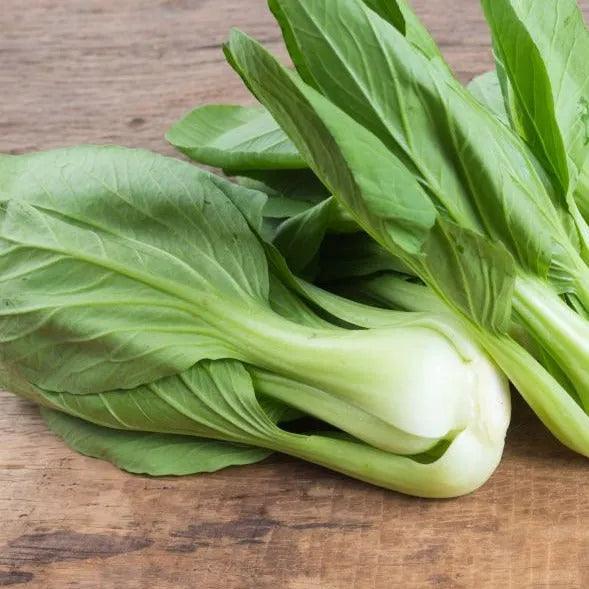 Pak Choi 9-pack - Vext