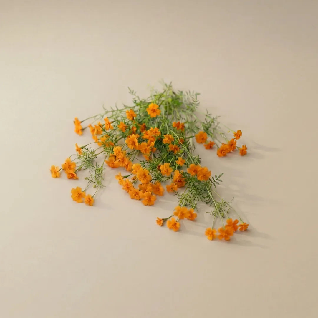 Edible flowers