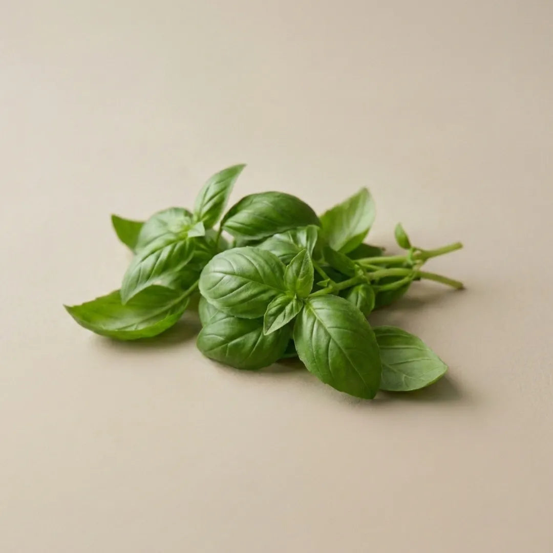Herbs